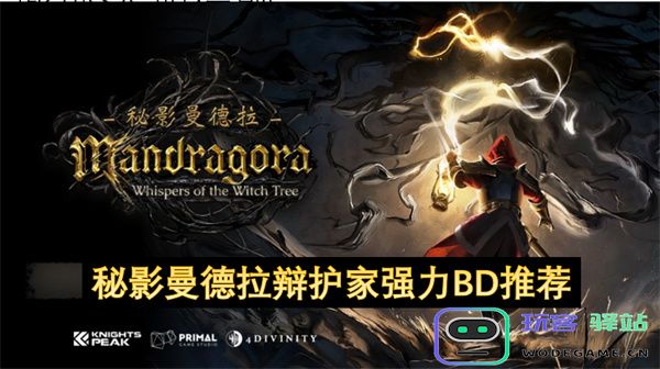 深入解析《秘影曼德拉》中的辩护家角色与强力BD推荐指南
