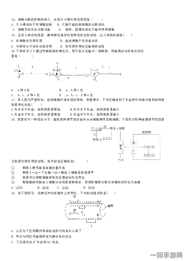 动物餐厅付费转化率低迷的维权记录：通过虚拟空间验证实现A/B测试策略|协议逆向剖析（2025年暑期未成年游戏防沉迷政策）