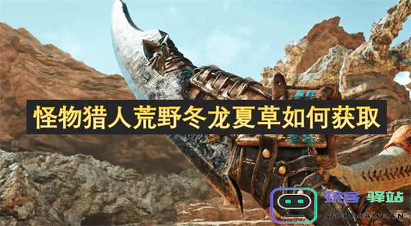 如何在怪物猎人荒野中获取冬龙和夏草的详细攻略和方法