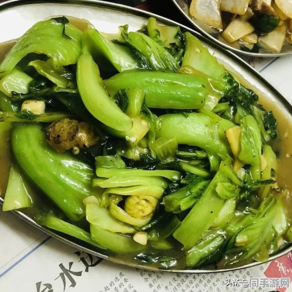 白云区95:揭开老广美食街区的神秘面纱与消费需知全攻略