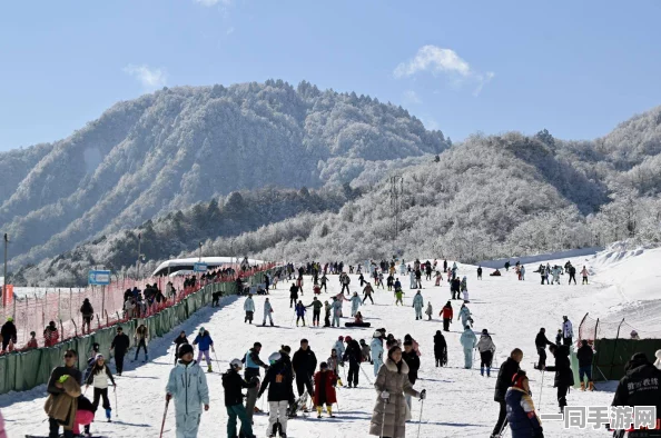 成都到西岭雪山怎么坐车，2024冬季交通全攻略！资深玩家揭秘雪季避堵秘籍
