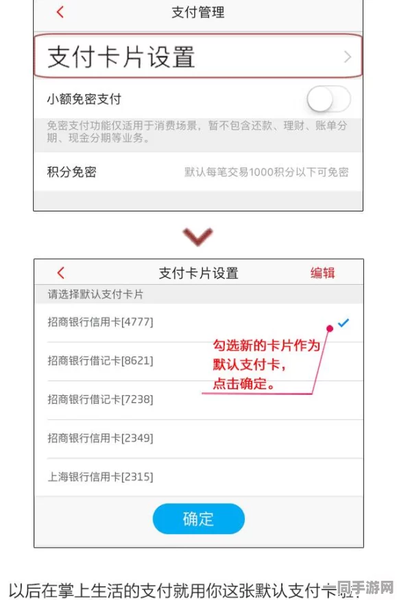 海盗充值问题维权实录：借助鸿蒙原生适配构建支付通道冗余校验机制|逆向工程经验分享（2025全球数字经济大会）
