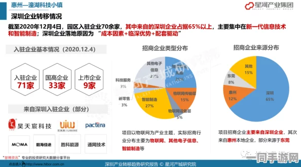 深圳IT:技术人才迁徙潮背后的产业生态裂变与城市竞争力重构