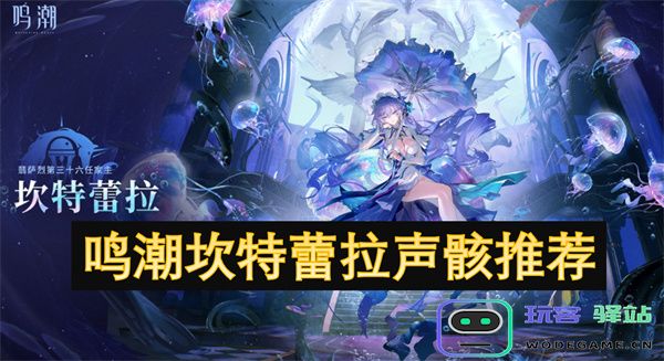 鸣潮坎特蕾拉声骸角色攻略与装备推荐，助你轻松征战游戏世界