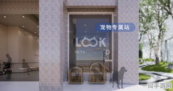 会所，高端社交场所的运营密码与社会责任之辩