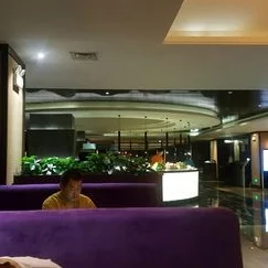 金豪国际水疗会所：揭秘都市新兴疗愈地标背后的健康经济学与发展趋势