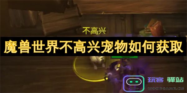 如何获取魔兽世界中不高兴宠物的详细指南与攻略