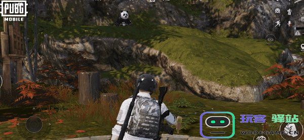 pubg四象修行玩法