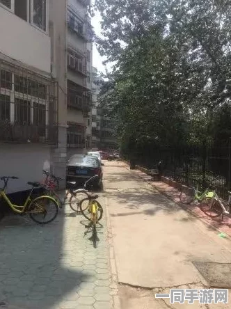 潞城市附近那条街服务:揭秘老街焕新背后的民生密码与社会温度