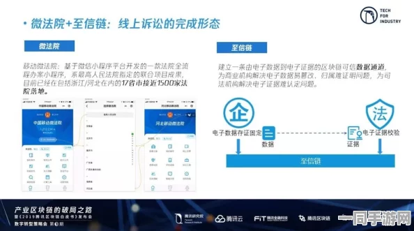 深圳互联网法院披露:欢乐斗地主虚拟物品纠纷处理方案(零知识证明-3138bit)涉诉设备31万+2025全球数字经济