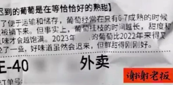 女骑手在城市配送中使用的暗号场合探秘：隐形密码与安全防范的深度解析