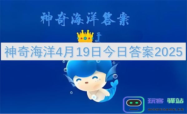 神奇海洋2025年4月19日今日答案揭秘，带你探索海洋的奥秘与奇幻世界