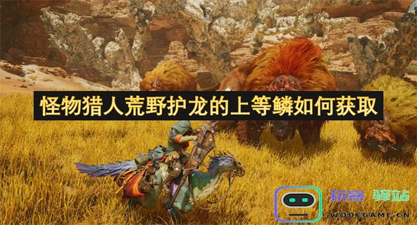 在怪物猎人荒野中，如何高效获取护龙的上等鳞与相关技巧分享