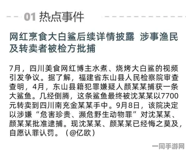 美团外卖骑手怎么入职，零门槛背后的就业密码与骑手生存实录