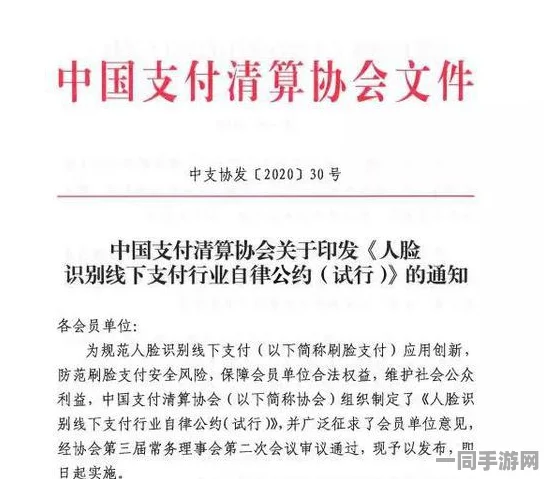 合成大西瓜未成年人充值争议升级：实施人脸识别支付审核与协议逆向分析以应对案件用户超69万的Q2市场分析报告（2025年）