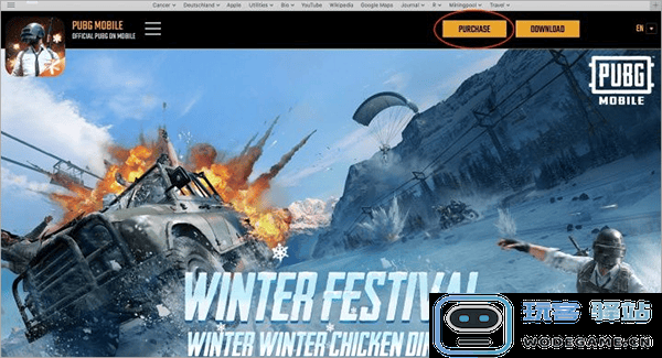 pubg国际服充值教程
