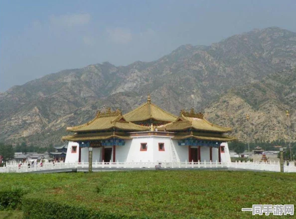 美团怎么约会，城市青年社交新场景探秘与安全指南