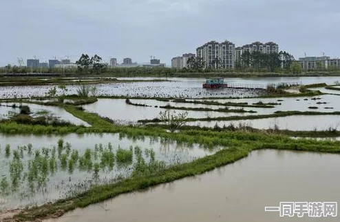 动物餐厅虚拟物品争议维权实录：借助AI反外挂技术实现跨链智能合约的验证与漏洞复现流程（2025全球数字经济大会）