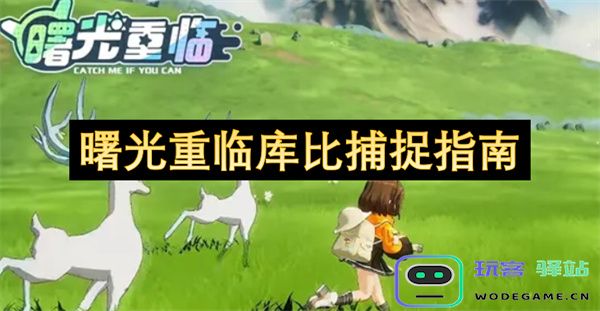 重返库比的曙光：全面捕捉指南及技巧分享