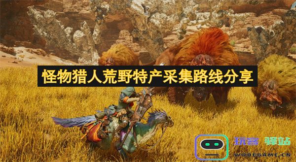 怪物猎人荒野特产采集路线详细解析与实用技巧分享
