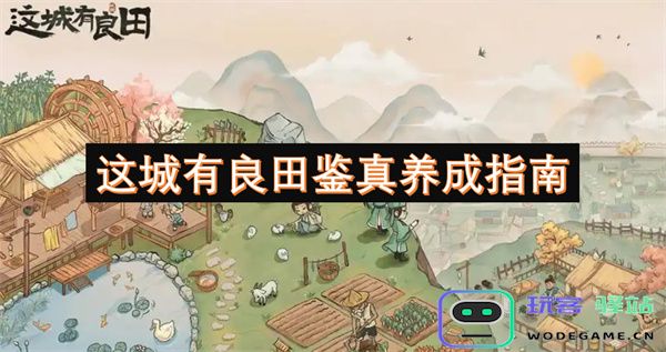 探索这座城市的良田与鉴真相伴的养成技巧与指南