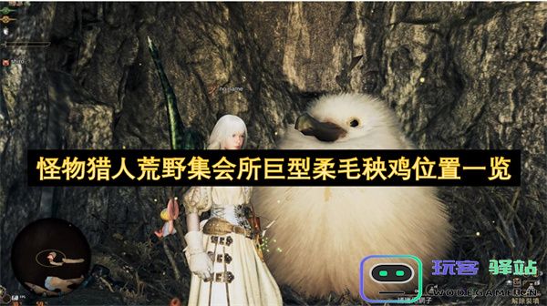 怪物猎人荒野集会所中巨型柔毛秧鸡的详细位置及捕捉技巧解析