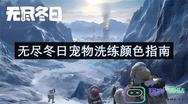 无尽冬季宠物洗练色彩攻略：如何选择和搭配你宠物的完美颜色