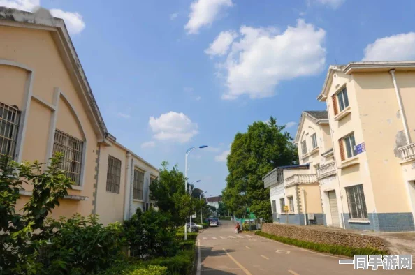 快餐全方位价格调查：揭示都市打工人生活经济学的真实现状与挑战