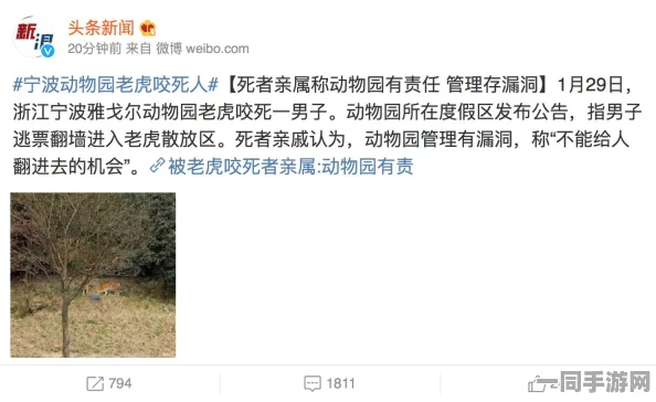 动物餐厅实名认证漏洞技术升级:采用区块链身份验证协议+逆向工程实录应对涉诉金额74万+技术审计标准（2025年游戏产业