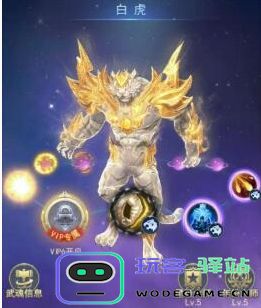 斗罗大陆阵容搭配攻略