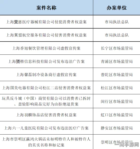 【上海】针对虚拟物品纠纷的典型案例：419577名用户利用区块链技术进行维权存证的成功实践（2025全球数字经济大会）