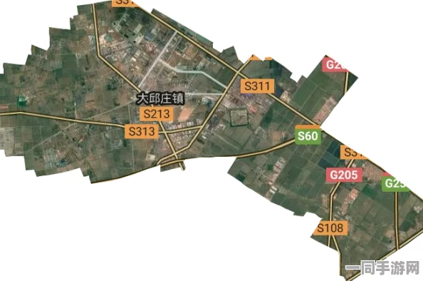大丘庄镇附近50米的约会电话号码探秘：社交迷局中的信任危机与破解之道