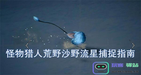 怪物猎人荒野沙野星辰捕获攻略详解，带你轻松掌握捕捉技巧与策略