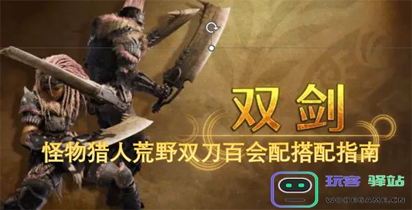 怪物猎人荒野双刀百会最佳配搭方案详解与实用技巧分享