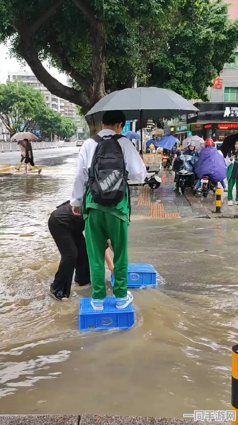 附近 学校，暴雨夜200米求学路折射教育资源地图背后的生存暗战