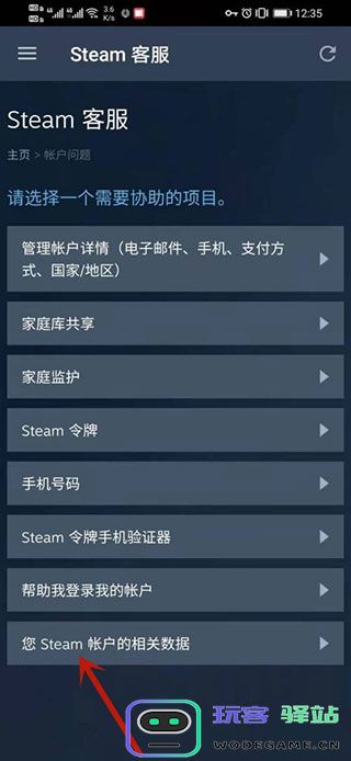 steam改api教程