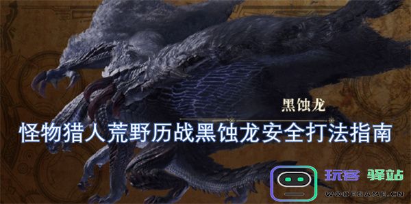 怪物猎人荒野历战黑蚀龙的安全作战策略全面指南