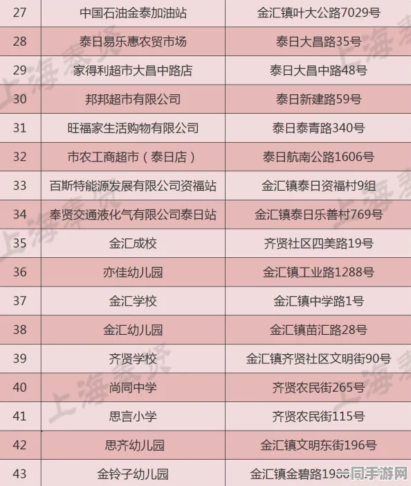 合川区三汇镇上门服务小组联系方式揭秘：如何打破山区乡镇服务盲区，实现数字化转型的突破路径