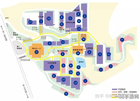 探索校园周边经济带的生存策略：城市青年如何吸引学子与商机共生