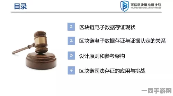 【外挂封禁】海盗来了区块链存证纠纷案件技术方案未公开，法庭判决赔偿金额达5万元|执行阶段相关报告（关于）