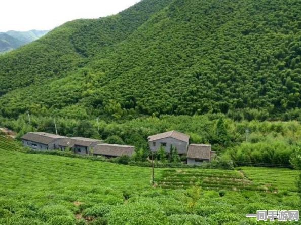 怎样找附近的人约会，城市孤独指数攀升下的社交突围战—解码Z世代三公里社交圈生存法则