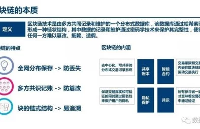 【上海】区块链存证推动9779名用户维权，回应外挂封禁事件的运营分析报告（2025全球数字经济大会）