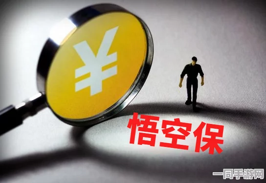 800全套啥意思，揭秘网络消费陷阱背后的行业潜规则