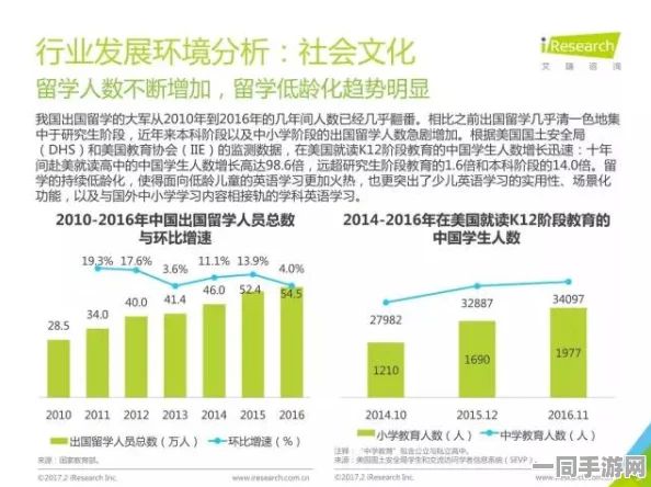 800全套什么意思，服务行业隐语解析与社会认知博弈