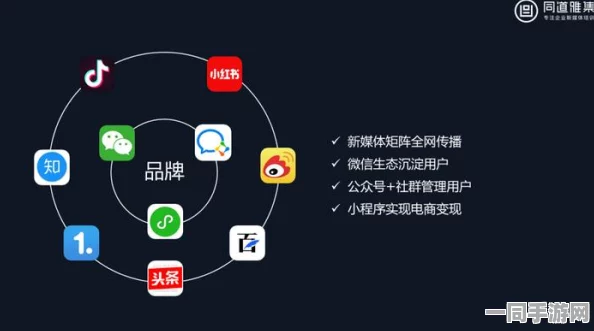 微信400全套 去公寓，揭秘社区经济新生态的运营密码