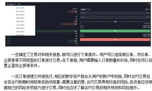脑洞大师虚拟商品争议技术进化：引入跨链数字资产追踪机制 应对171000涉诉用户的漏洞复现方案 2025年第三季度合规性白皮书（2025）