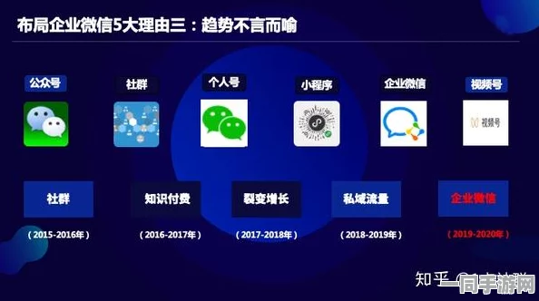 微信全套400去房间，解码私域流量变现背后的商业密码与合规边界