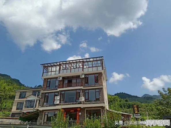 500元3小时不限次数品茶，都市茶空间消费模式创新背后的文化密码解析