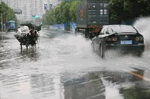 如何在暴雨夜困境中找到邻近服务，数字时代的生活保鲜与生存智慧启示
