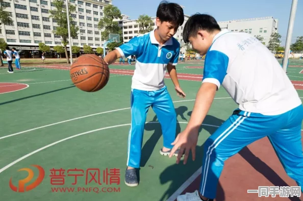 如何高效获取普宁的学生服务资源：全面解析与法律合规建议指南